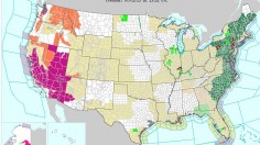 The magenta portions of the map indicate areas with a 