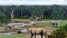 Reconstruction of the Late Miocene habitat of Aceratherium piriyai at Tha Chang  