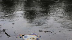 A layer of crude oil lies on the surface of La Chaudiere River as it flows from the town of Lac Megantic, Quebec, July 7, 2013. 