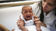 Brazil Faces New Health Epidemic As Mosquito-Borne Zika Virus Spreads Rapidly