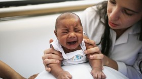 Brazil Faces New Health Epidemic As Mosquito-Borne Zika Virus Spreads Rapidly