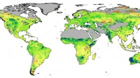Map of Increased Foliage