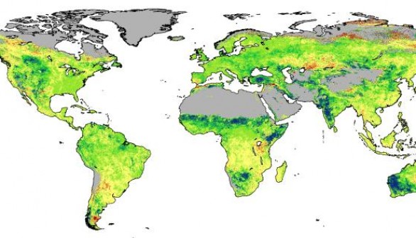 Map of Increased Foliage