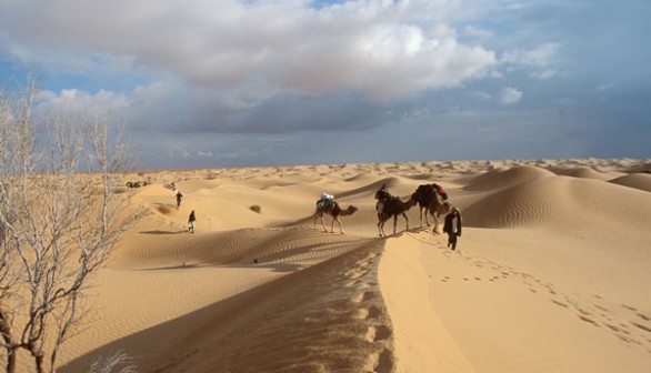 Tunisian Desert 