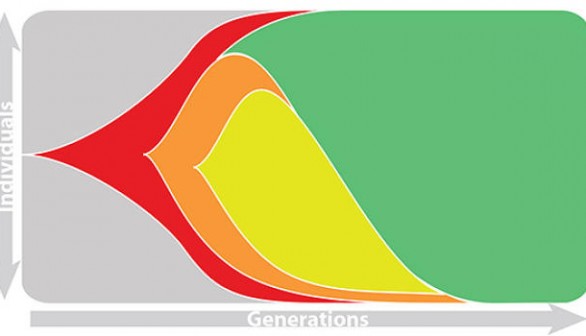 Yeast Evolution 