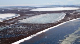 Shallow Arctic Lakes