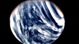 Venus