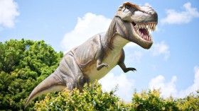 Tyrannosaurus rex model 