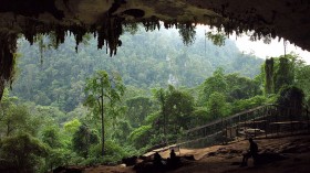 Niah Caves - The Great Cave