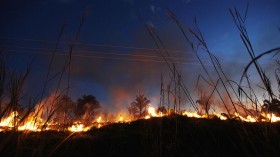 Brazil Faces Environmental Challenges in Amazon Ahead of Rio+20 Earth Summit