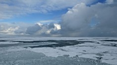 Arctic Sea Ice