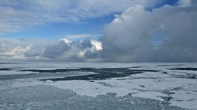 Arctic Sea Ice