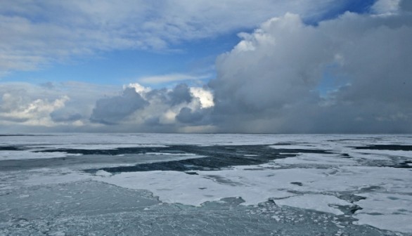 Arctic Sea Ice