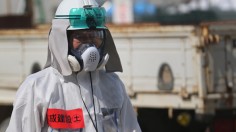 Workers of Fukushima Daiichi