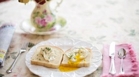 poached-eggs-on-toast-breakfast