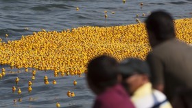 People look at thousands of rubber ducks floating in the Nichupte Lake in Cancun May 12, 2013. 