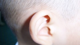 ear 