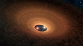 Stars Surrounded by Dusty Disk