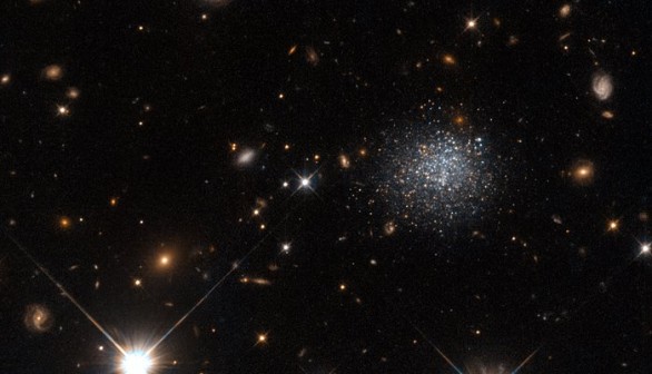 The fuzzy collection of stars seen in this NASA/ESA Hubble Space Telescope image forms an intriguing dwarf galaxy named LEDA 677373, located about 14 million light-years away from us.