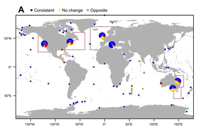 As Oceans Warm, Marine Life Moves Poleward, Changes Breeding Patterns