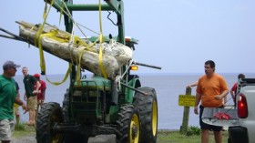 Transporting the Whale Bone