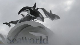 SeaWorld