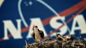 NASA Prepares For Final Launch Of Space Shuttle Endeavour