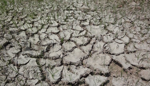 Pinang Tunggal Drought