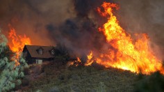 Wildfire Grows Rapidly In California's Lake County