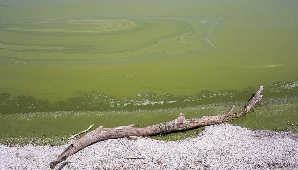 Toledo, Ohio Contends With Contaminated Tap Water For Third Day