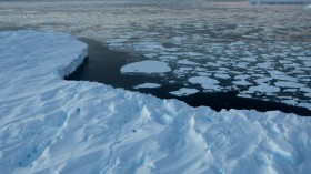 Antarctic Sea Ice