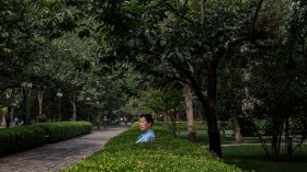 Beijing Park Life A Respite From Urban Growth