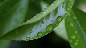 Bay Area Water Inspectors Monitor Water Usage