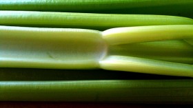 Celery 