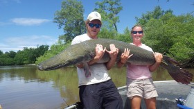 Alligator Gar