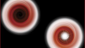 Evidence of Black Holes