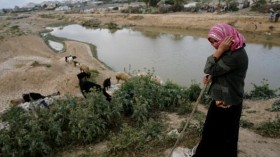 Gaza's Water Crisis