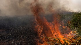 Firefighters Attempt To Extinguish Indonesia Forest Fires