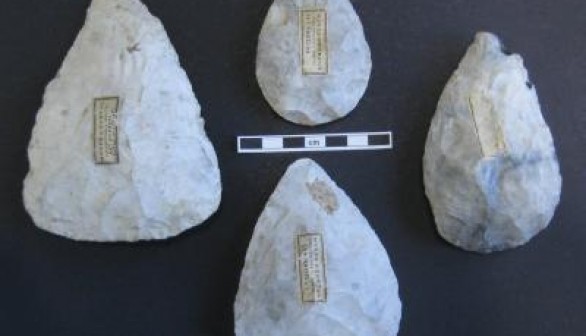 Neanderthal tools 