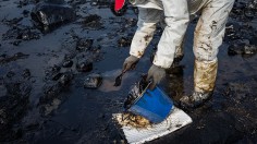 Oil Spill Stains Taiwan Coast After Container Ship Runs Aground