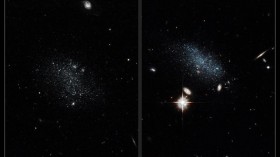 Dwarf Galaxies in Pisces