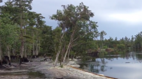 Louisiana Sinkhole 