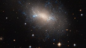 A lopsided lynx NGC 2337