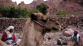 Tourism In South Sinai