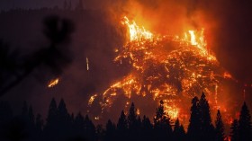 The Rim Fire burns near Buck Meadows, California, August 24, 2013. A fast-moving wildfire on the edge of Yosemite National Park has forced the closure of two more areas of the park.