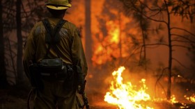 Sacramento Metropolitan firefighter Clint Alexander monitors the Rim Fire near Camp Mather, California, August 26, 2013