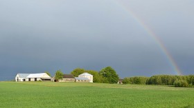 Smogorówka Dolistowska - rainbow