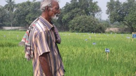 Farmer of Rajshahi, Bangladesh