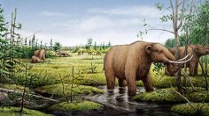 mastodons, camels and a ground sloth