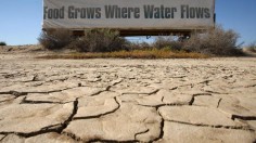 California drought